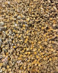 A generous heap of chamomile flowers from The Quiet Botanist's Chamomile Tea Gift Set—ideal for brewing loose leaf tea or a calming herbal infusion.