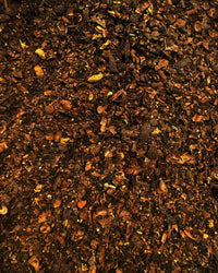 Close-up of The Quiet Botanist Cacao Chai Tea Gift Set, showcasing a textured blend of dark chocolatey chai leaves and spices, with unevenly chopped pieces and golden accents.