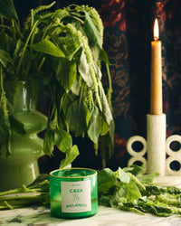 A Casa Polanco Candle by ROEN, crafted from a premium coconut soy wax blend, rests on marble beside fresh green leaves in a vase and a lit beige candlestick. A dark, floral-patterned fabric forms the background.