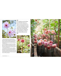 A magazine spread from Random House’s "The Artistry of Flowers" shows close-ups of pink dahlias on the left and metal buckets brimming with dahlias arranged along a garden path on the right, with dahlia-growing tips throughout.
