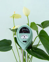 A Jungle Club 3-in-1 Moisture Meter in Lagoon is placed among green leaves and pale yellow anthurium flowers, showing moisture, pH, and light readings against a light background.