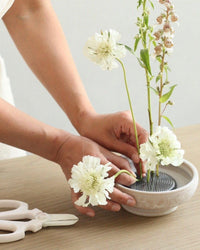 A person arranges white flowers and greenery in a shallow ceramic bowl with The Floral Society’s Japanese Pin Frogs. Scissors rest on the light wooden table nearby.