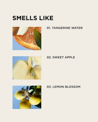Three labeled images show: a tangerine slice (01. Tangerine Water), sliced apple with flower (02. Sweet Apple), and lemons on a branch (03. Lemon Blossom)—inspired by Birthday Suit Body + Hair Perfume Mist by Rosie Jane.