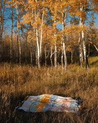 The Suave Campo - Blanket Roll by caminito, vibrant and handcrafted in Mexico, rests on tall dry grass before white-barked aspens with golden leaves beneath a clear blue autumn sky.