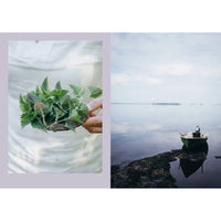 A hand with fresh green leaves by a tranquil lake and boat—capturing the peaceful vibe that inspires simple cabin recipes in "Four Seasons of Cabin Cooking" by Cozy Publishing.
