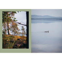 A split image: on the left, a quiet lakeshore with pines and grass; on the right, calm water with a duck and ducklings—an inviting scene echoing Four Seasons of Cabin Cooking by Cozy Publishing.