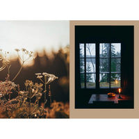 On the left, delicate wildflowers in sunlight; on the right, a cozy cabin interior with candle and bowl—reflecting the spirit of "Four Seasons of Cabin Cooking" by Cozy Publishing—beside a lake-view window.