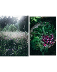 A split image: sunlit wildflower meadow on the left, basket of freshly harvested radishes on the right—capturing the freshness and vibrant flavors of Nordic cuisine featured in Cozy Publishing's Nordic Summer Cookbook.