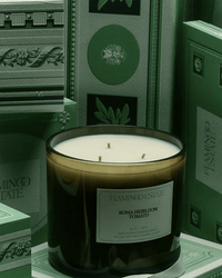The Tomato XL Candle by Flamingo Estate, crafted with vegetable wax, rests among ornately designed books and packaging featuring embossed patterns and botanical motifs.