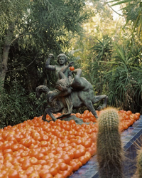 A bronze statue of a man riding a centaur holds up a tomato amid hundreds scattered on the ground, lush greenery, and a tall cactus, with hints of Flamingo Estate’s The Tomato XL Candle made from vegetable wax in the air.
