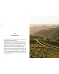 A scenic vineyard spans rolling hills at sunset, winding paths through lush vines. On the left, "Travel Guide: Somewhere in Italy" by Cozy Publishing is printed on white—ideal inspiration for your next Italian adventure.