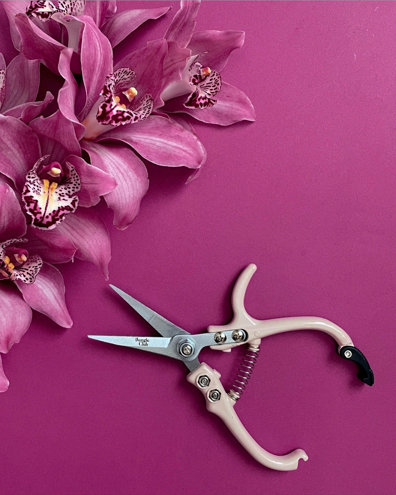 Pruning Shears in Vanilla