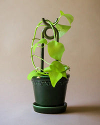 Bergs Potter Folk: Oni Glazed Plant Stake in Moss Green