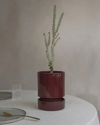 Bergs Potter Hoff Glazed 7.1 inch Pot in Deep Burgundy