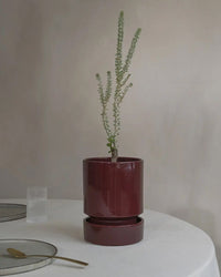 Bergs Potter Hoff Glazed 7.1 inch Saucer in Deep Burgundy