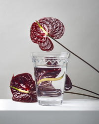 A clear glass of water sits on a white surface, with two dark red anthurium flowers behind and beside the Kobenhavner Glass Vase in Clear by Bergs Potter.