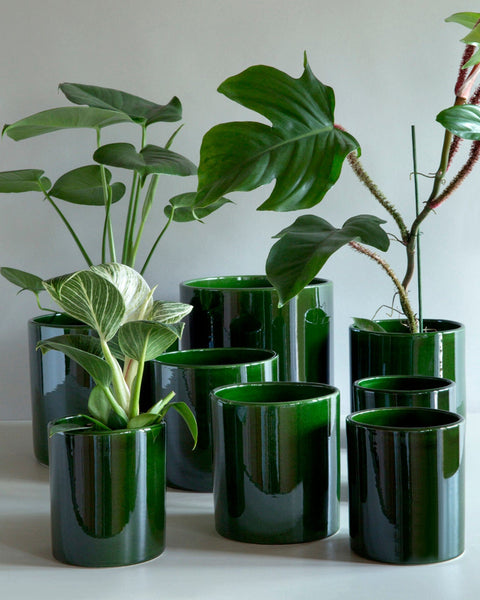 bergs plant pots Bergs Potter 5.1 inch Romeo Glazed Emerald Green Cachepot Vases – Baske