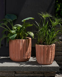 Two Bloomist Fluted Planter | Medium, featuring vertical ridges and filled with green leafy plants, sit on an outdoor stone step against a dark wall.