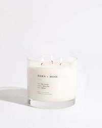 Brooklyn Candle Studio Fern + Moss XL 3-Wick Candle