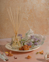Brooklyn Candle Studio Italia Reed Diffuser