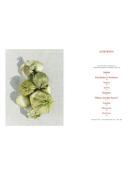 Six green tomatillos rest on a textured surface beside a table of contents listing Salsas, Arroz, and Postres—offering a peek into Mamacita by Chronicle Books, a Mexican cookbook celebrating cherished family recipes.