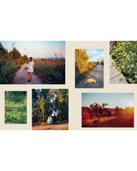 A collage of six outdoor scenes—girl on a path, dog on a road, greenery, old truck, sunset buildings—captures the rustic Mediterranean charm celebrated in Chronicle Books’ seasonal cookbook Wild Figs and Fennel.