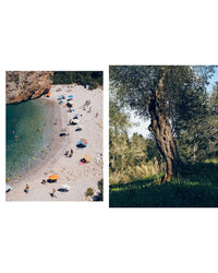 Left: Aerial view of people on a rocky beach with umbrellas by clear water. Right: Close-up of an old tree—perfect inspiration for exploring regional Greek cuisine in Yiayia by Chronicle Books.