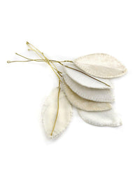 Cody Foster Velvet Leaf Pick Set in White