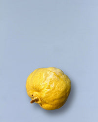 Eturel Madrid Home Ceramic Quince