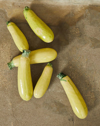 Eturel Madrid HOME Ceramic Zucchini