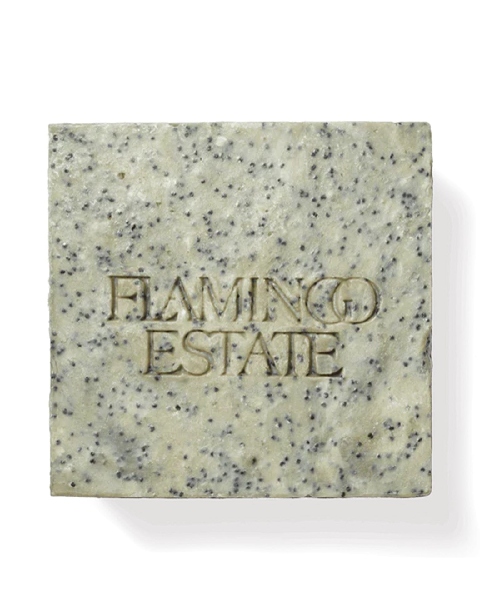 Morning Exfoliating Peppermint Soap Brick