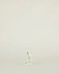 A single white flower with a green stem stands in the Hawkins New York Aurora Sphere Vase in Clear, a round glass vessel crafted from recycled handblown glass, set against a plain light background.