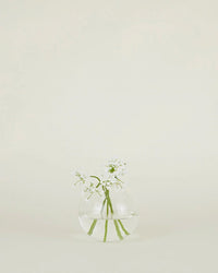 The Hawkins New York Aurora Sphere Vase in Clear, crafted from recycled handblown glass, holds several white flower stems and is set against a plain light beige background.