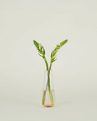 Hawkins New York Aurora Slim Drop Vase in Blush