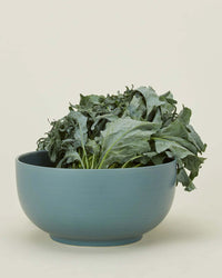 Hawkins New York Essential Serving Bowl in Peacock