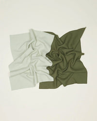 Hawkins New York Home Set of 2 Essential Waffle Dish Towels - Olive + Sage