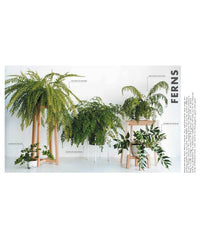 Random House Leaf Supply