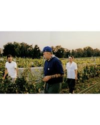 Three people walk through a vineyard at sunset, tending grapevines—like the artisans featured in Spilled Natural Winemakers Stories & Recipes from Random House. In the background, neat rows of plants and trees complete the scene.