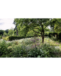 Inspired by English gardens, The New Romantic Garden by Random House features tall grasses, green plants, flowering shrubs, and a leafy tree set beneath a partly cloudy sky.