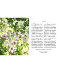 On the left, white and pink flowers hang from leafy branches, evoking English gardens; on the right, a two-column text page titled Attraction introduces The New Romantic Garden by Random House.