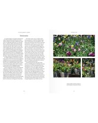 A two-page spread from The New Romantic Garden by Random House shows text on the left and three vivid photos of tulips and other flowers in metal buckets and garden beds on the right, highlighting vibrant English-style garden design.