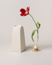 SIN Olto Vase Tall in Glacé