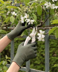 The Floral Society Japanese Garden Pruners