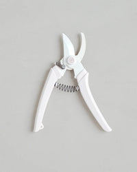 The Floral Society Japanese Garden Pruners