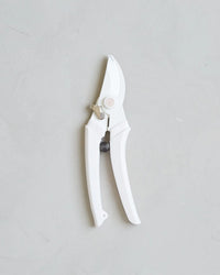 The Floral Society Japanese Garden Pruners