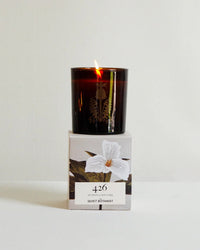 A lit 426 Candle - The Scent Of Our Store by The Quiet Botanist, made of coconut wax, sits on a box with a white flower illustration.