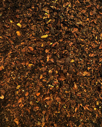 A close-up of The Quiet Botanist’s Cacao Chai Tea shows loose, dark brown dried leaves and small herbal pieces spread evenly, evoking a cozy aroma.
