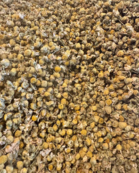 The Quiet Botanist Chamomile Tea features dried chamomile flowers with yellow centers and faded petals, ideal for brewing a calming, caffeine-free tea or soothing herbal infusion.