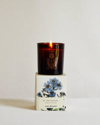 A lit In The Weeds Candle made from coconut wax in a dark glass jar sits atop its box featuring blue botanical illustrations and The Quiet Botanist branding, set against a plain background.