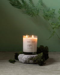 The Brooklyn Candle Studio Fern + Moss Classic 2-Wick Candle rests on rough stone with moss, accented by a green fern and set against a pale green wall.